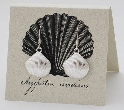 Scallop Earrings - silver