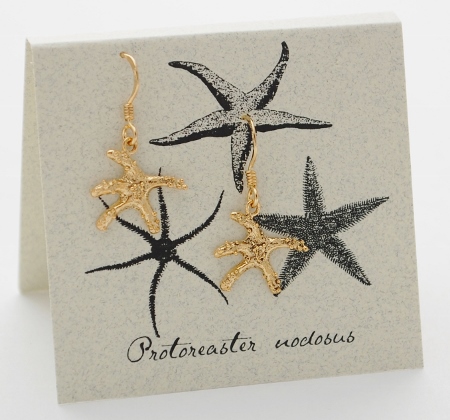 Starfish Earrings - gold
