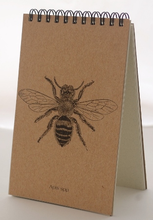 Bee Explorer Pad