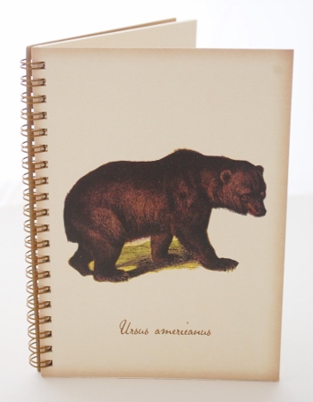 Bear Nature Journal
