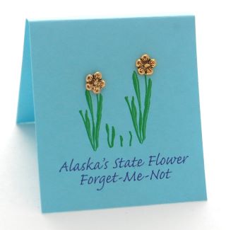 Alaska Forget Me Not - gold