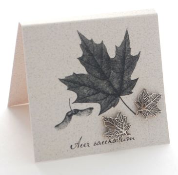 Sugar Maple Leaf Earrings - silver