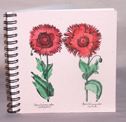 Poppies Hand Water Colored Journal