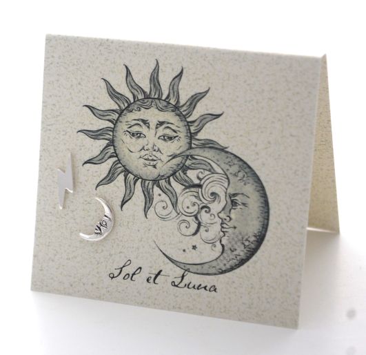 Moon & Lightning Stud Earrings - silver Natural History 