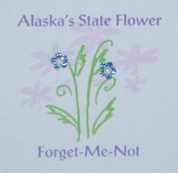 Forget-Me-Not Sweet Things