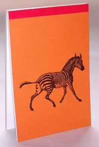Zebra - Animalife Pad