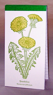 Dandelion Herbalist