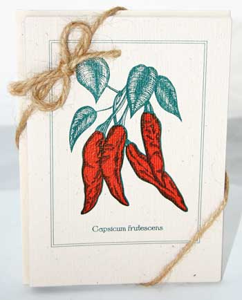 Chili Pepper Note Cards