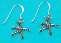 Sea Star Earrings