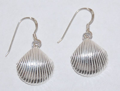 Scallop Shell Earrings