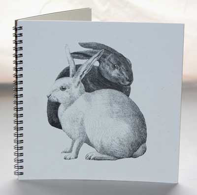 Rabbits Explorer Journal